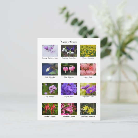 Carte postale de l'année fleurie (Debout devant)