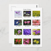 Carte postale de l'année fleurie (Devant / Derrière)