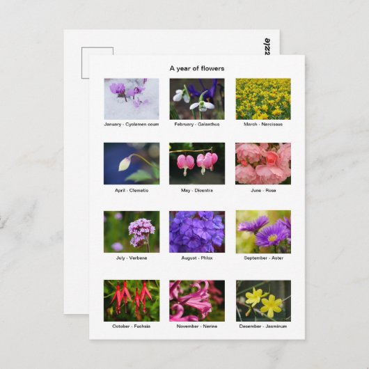 Carte postale de l'année fleurie (Devant / Derrière)