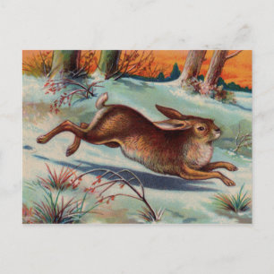 Carte postale de lapin de décembre