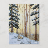 Carte postale de lapin d'hiver (Devant)