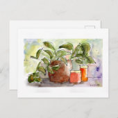 Carte postale de l'Aquarelle Still Life (Devant / Derrière)