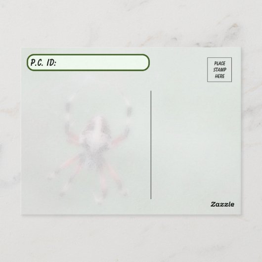 Carte postale de l'araignée d'orbweaver tachetée (Dos)