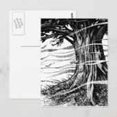 Carte postale de l'arbre (Devant / Derrière)