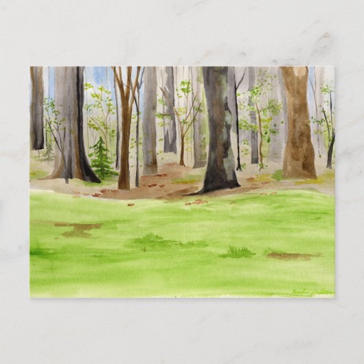 Carte postale de l'arbre (Devant)