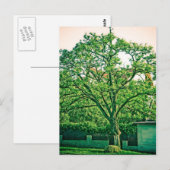 Carte postale de l'arbre (Devant / Derrière)
