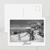 Carte postale de l'arbre alien finlandais (Devant / Derrière)
