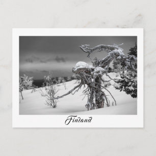 Carte postale de l'arbre alien finlandais