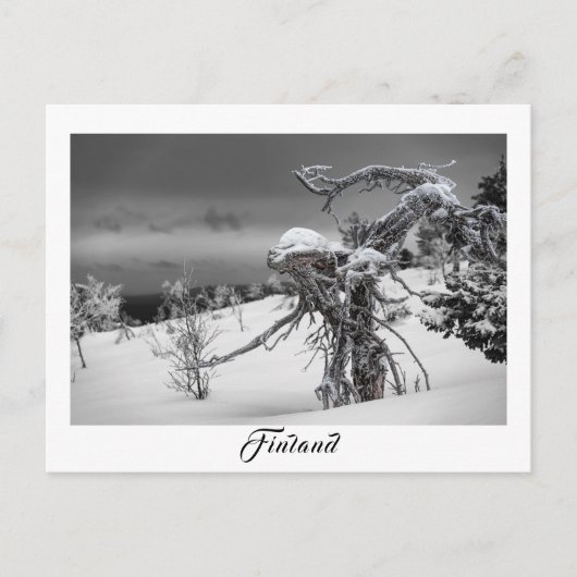 Carte postale de l'arbre alien finlandais (Devant)