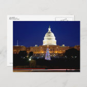 Carte postale de l'arbre de Noël de Washington, D. (Devant / Derrière)