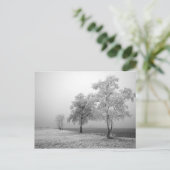 Carte postale de l'arbre d'hiver (Debout devant)