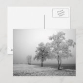 Carte postale de l'arbre d'hiver (Devant / Derrière)