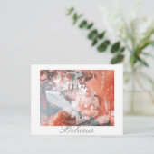 Carte postale de l'architecture du palais de Nesvi (Debout devant)