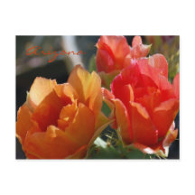 Carte postale de l'Arizona