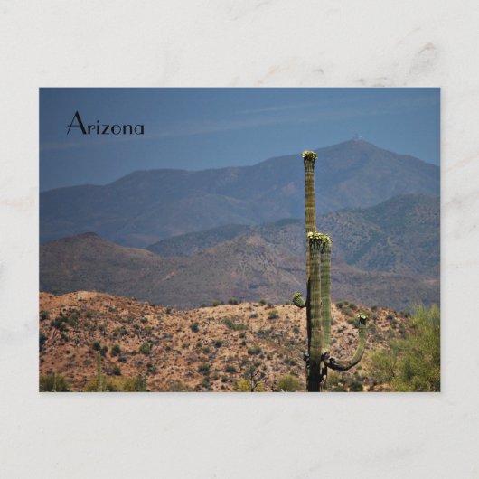 Carte postale de l'Arizona (Devant)