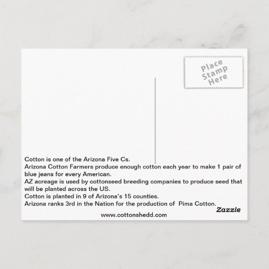 Carte postale de l'Arizona Cotton Fact 1912 (Dos)