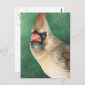 Carte postale de l'art cardinal féminin (Devant / Derrière)