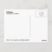 Carte postale de l'assassin (Dos)