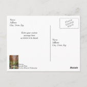 Carte postale de l'autel Pensant à vous (Dos)