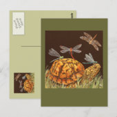 carte postale de l'école de tortues (Devant / Derrière)