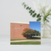 CARTE POSTALE DE L'ÉCOLE SECONDAIRE TREMPER (Debout devant)