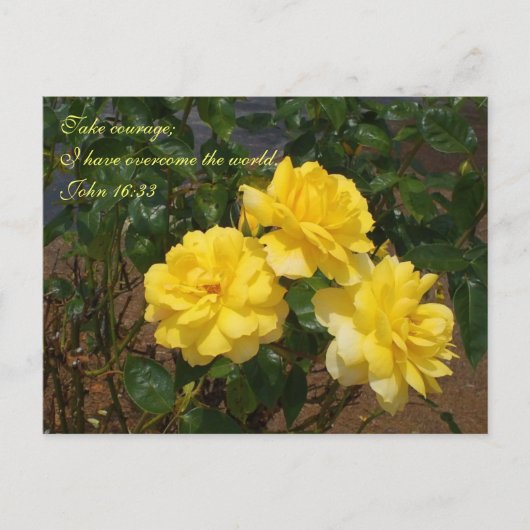 Carte postale de l'écriture J'ai surmonté le monde (Devant)