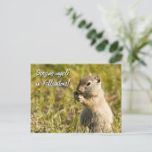 Carte postale de l'écureuil terrestre, texte perso (Debout devant)