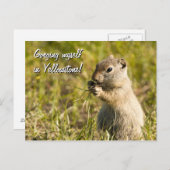 Carte postale de l'écureuil terrestre, texte perso (Devant / Derrière)