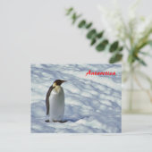 Carte postale de l'empereur Penguin Antarctique (Debout devant)