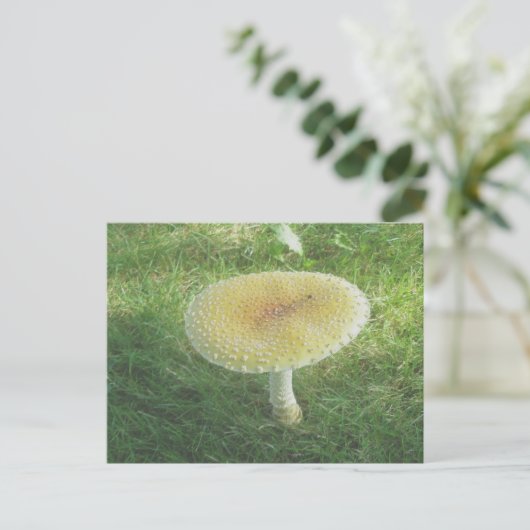 Carte postale de l'énorme champignon jaune (Debout devant)