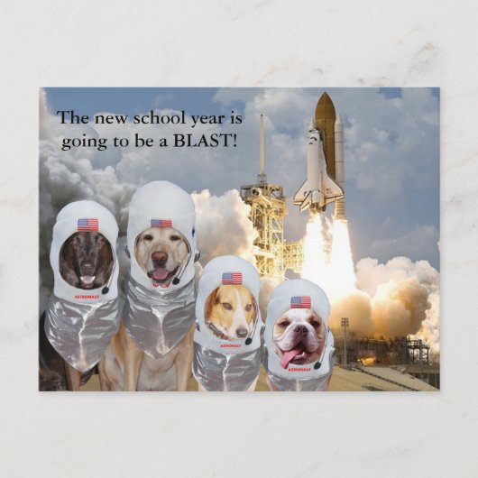 Carte postale de l'enseignant des chiens astronaut (Devant)