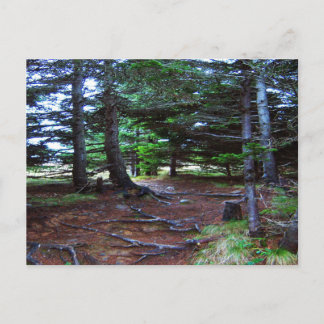 Carte postale de l'escalier de la nature