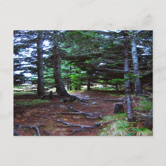 Carte postale de l'escalier de la nature (Devant)