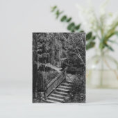 Carte postale de l'escalier du jardin caché (Debout devant)