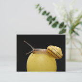 Carte postale de l'escargot (Debout devant)