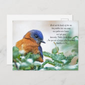 Carte postale de l'Est de Bluebird Matthew 6:26 (Devant / Derrière)