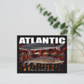 Carte postale de l'esturgeon atlantique (Debout devant)