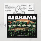 Carte postale de l'esturgeon de l'Alabama (Devant / Derrière)