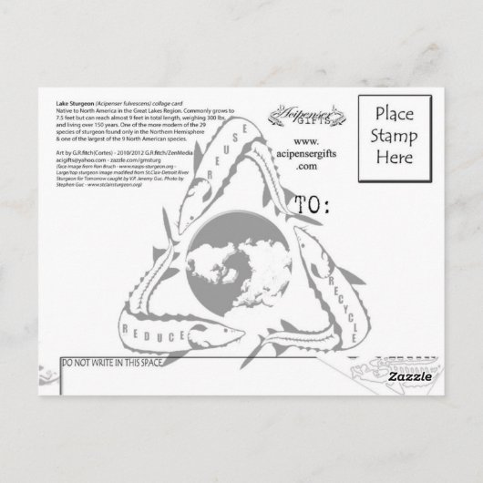 Carte postale de l'esturgeon jaune (Dos)