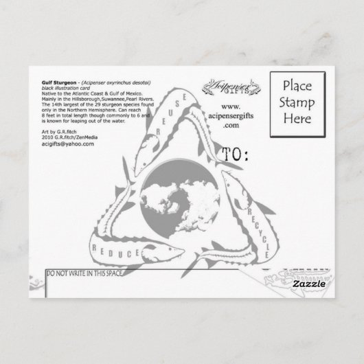 Carte postale de l'esturgeon noir du Golfe (Dos)