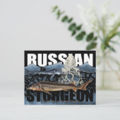Carte postale de l'esturgeon russe (Debout devant)