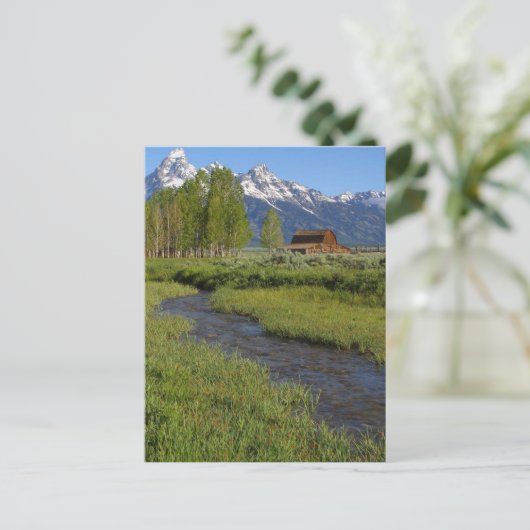 Carte postale de l'étable Mormon Row (Debout devant)