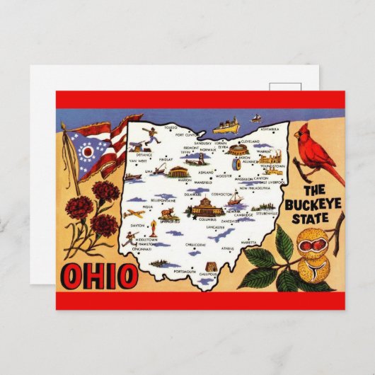 Carte postale de l'État de Ohio Buckeye (Devant / Derrière)
