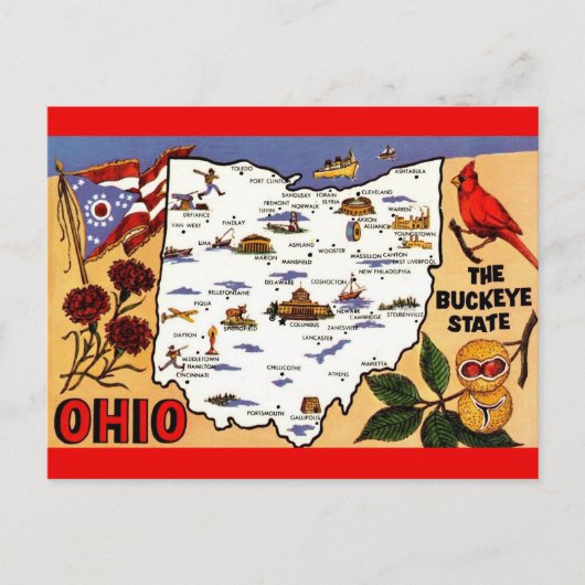 Carte postale de l'État de Ohio Buckeye (Devant)