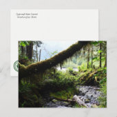 Carte postale de l'État de Washington : Quinault R (Devant / Derrière)