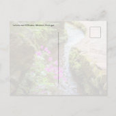 Carte postale de Levada das 25 Fontes à Madère (Dos)