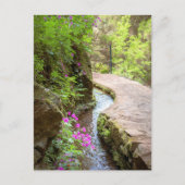 Carte postale de Levada das 25 Fontes à Madère (Devant)