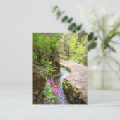 Carte postale de Levada das 25 Fontes à Madère (Debout devant)