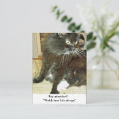 Carte postale de l'exercice d'astuce de Merlin (Debout devant)