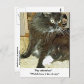 Carte postale de l'exercice d'astuce de Merlin (Devant / Derrière)